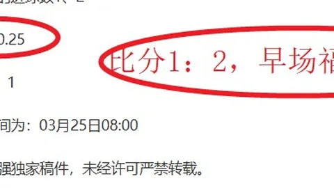 西班牙队世界杯夺冠关键：罗德里担任指南针