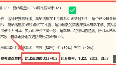 独家连续8周战绩辉煌，粉丝夺冠之路
